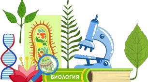 Навчальна програма з біології
