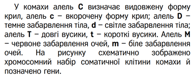 060206r2-c315-382x154.png