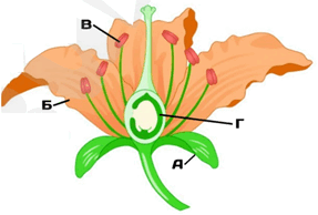 060206xm-3a2c-287x194.png