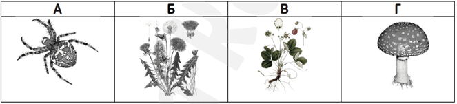 060206zw-c110-663x151.png