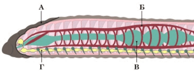 06020761-e1ce-397x152.png
