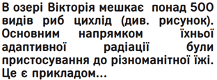 060207at-3caf-312x116.png
