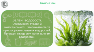 Урок на тему "Зелені водорості. Особливості будови й життєдіяльності. Різноманітність та пристосування зелених водоростей. Природні явища за участю зелених водоростей" (Конспект, презентація, робочі аркуші)