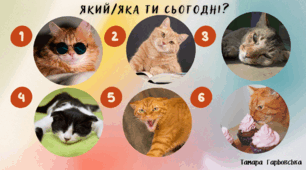 Криголам "Який/яка ти сьогодні?"