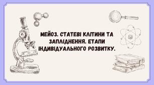 Мейоз. Статеві клітини та запліднення. Етапи індивідуального розвитку.