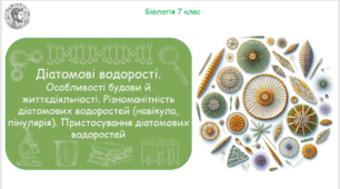 Урок на тему "Діатомові водорості. Особливості будови й життєдіяльності. Різноманітність діатомових водоростей (навікула, пінулярія). Пристосування діатомових водоростей" (Конспект, презентація, робочі аркуші)