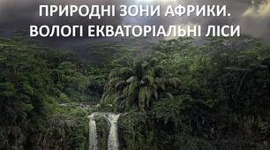 Презентація до уроку: "ПРИРОДНІ ЗОНИ АФРИКИ. ВОЛОГІ ЕКВАТОРІАЛЬНІ ЛІСИ"
