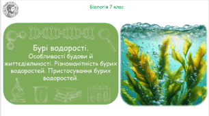Урок на тему "Бурі водорості. Особливості будови й життєдіяльності. Різноманітність бурих водоростей. Пристосування бурих водоростей" (Конспект, презентація, робочі аркуші)