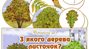 Дидактична гра "З якого дерева листочок?"