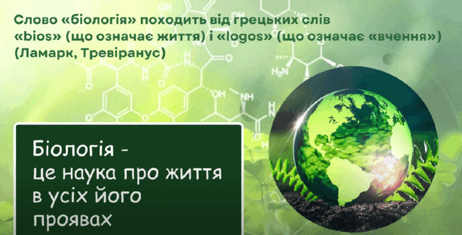 06020cbj-d88e-940x479.png