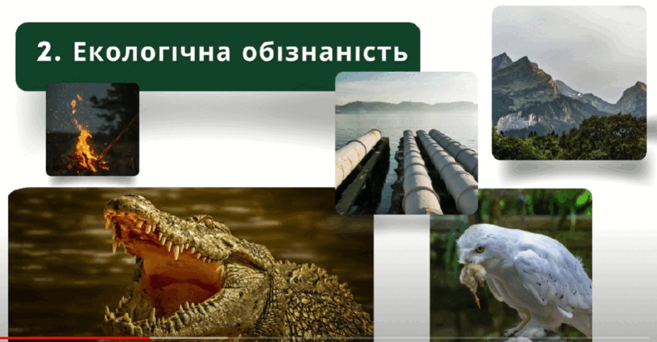 06020cbu-6d05-940x490.png
