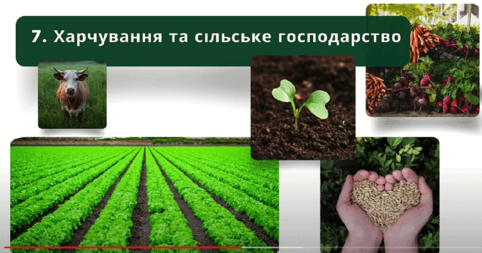 06020cch-907a-940x495.png