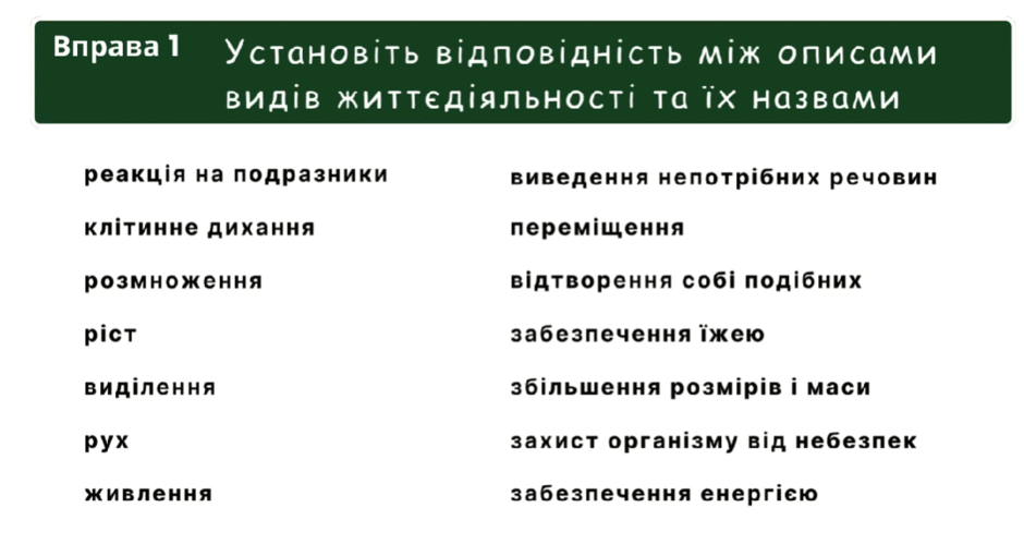 06020cdb-1b55-940x499.png