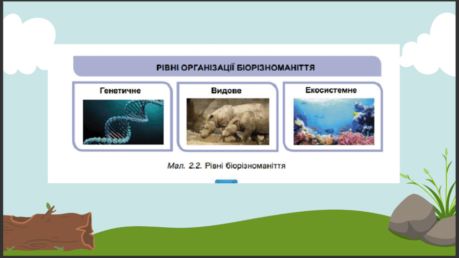 06020mg4-3c77-940x529.png