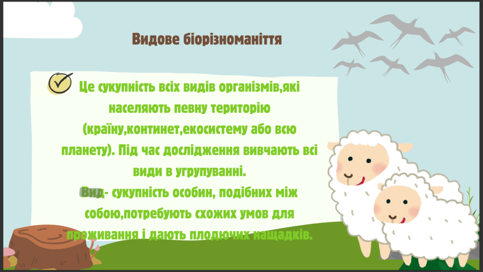 06020mgn-7bed-940x529.png