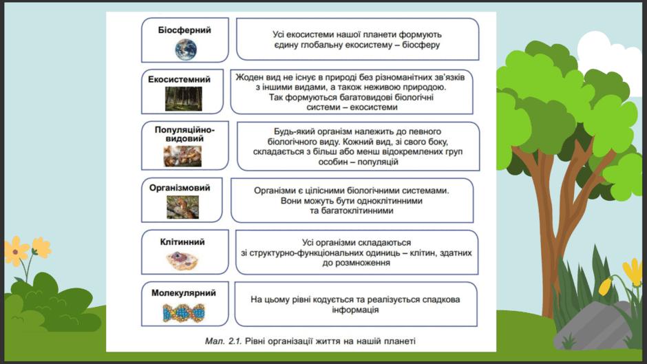 06020mgx-cd30-940x529.png