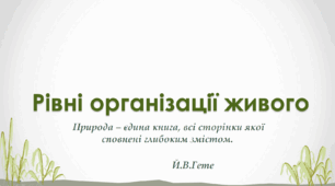 Презентація до уроку на тему: "Рівні організації живого"