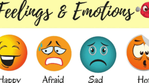 Feelings and Emotions
