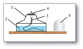 06020osz-6204-768x456.png