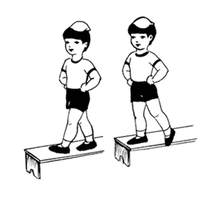 06020w0a-ffd9-323x306.png