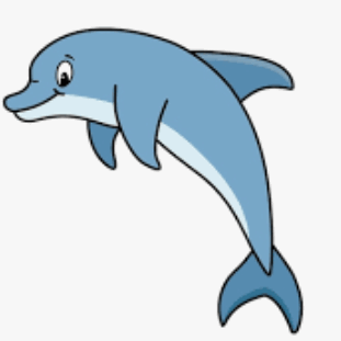 060212v5-0f12-311x311.png