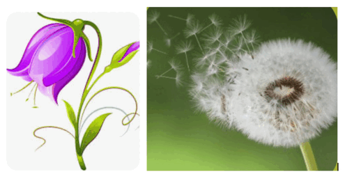 0602130d-7795-495x253.png