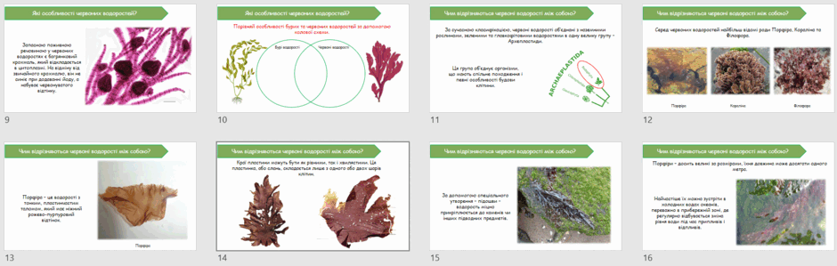 06021326-de48-940x299.png