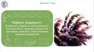 Урок на тему "Червоні водорості. Особливості будови й життєдіяльності. Різноманітність червоних водоростей (філофора, кораліна). Пристосування червоних водоростей." (Конспект, презентація, робочі аркуші)