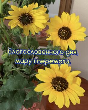 0602142x-1b88-294x370.jpg