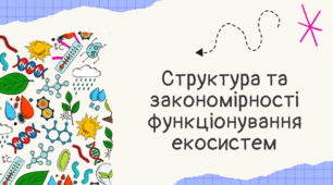 Презентація на тему "Структура та закономірності функціонування екосистем"