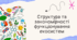 Презентація на тему "Структура та закономірності функціонування екосистем"