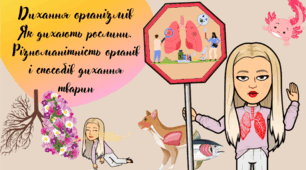Презентація "Дихання організмів" НУШ