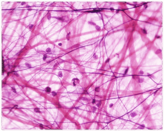 06021bj7-3bbd-561x448.png