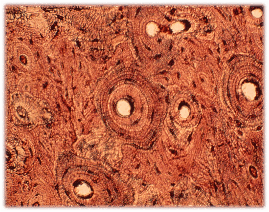 06021bji-4429-550x434.png