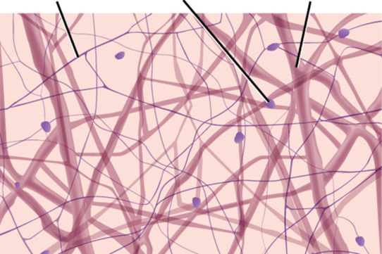 06021bop-fb2d-542x361.png