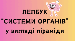 Лепбук: системи органів людини, внутрішні органи