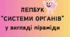 Лепбук: системи органів людини, внутрішні органи