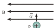 06021d7t-6dcf-185x98.png