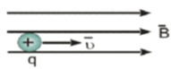 06021d83-05cf-191x77.png