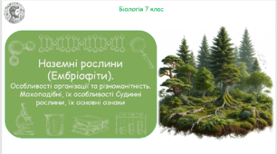Урок на тему "Наземні рослини (Ембріофіти). Особливості організації та різноманітність. Мохоподібні, їх особливості. Судинні рослини, їх основні ознаки" (Конспект, презентація, робочі аркуші)