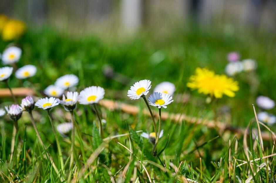 06021iwn-a660-940x625.jpg