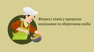 Презентація "Фізика і хімія у процесах випікання та зберігання хліба"