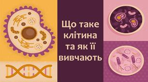 §4 Що таке клітина та як її вивчають