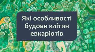 §6 Які особливості будови клітин евкаріотів