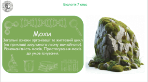 Урок на тему "Мохи. Загальні ознаки організації та життєвий цикл (на прикладі зозулиного льону звичайного). Різноманітність мохів. Пристосування мохів до умов існування" (Конспект, презентація, робочі аркуші)