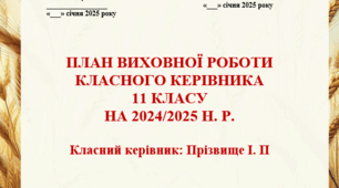 План виховної роботи класного керівника 11 класу на 2024/2025 н. р.