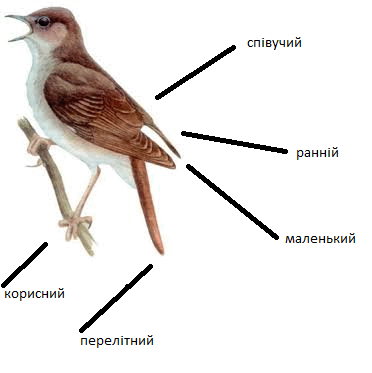 06021mw4-d400-372x373.png