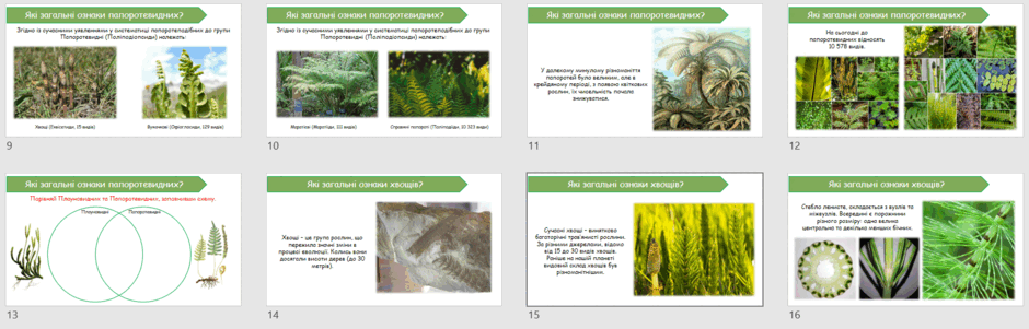 06021oj6-f469-940x301.png