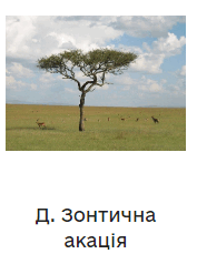 06021oq9-fd42-177x238.png