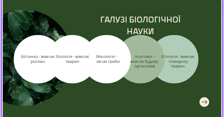 06021p6a-11a4-1200x630.png